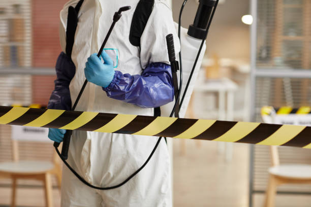 Professional Sewage Cleanup technician working in Hallandale, FL